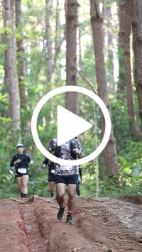 BIB:  <button type="button" onclick="openModal(26569889)" class="btn btn-primary btn-sm float-right" data-toggle="modal" data-target=".modal-high-quality">
                <i class="fa fa-download"></i> Download
                </button>